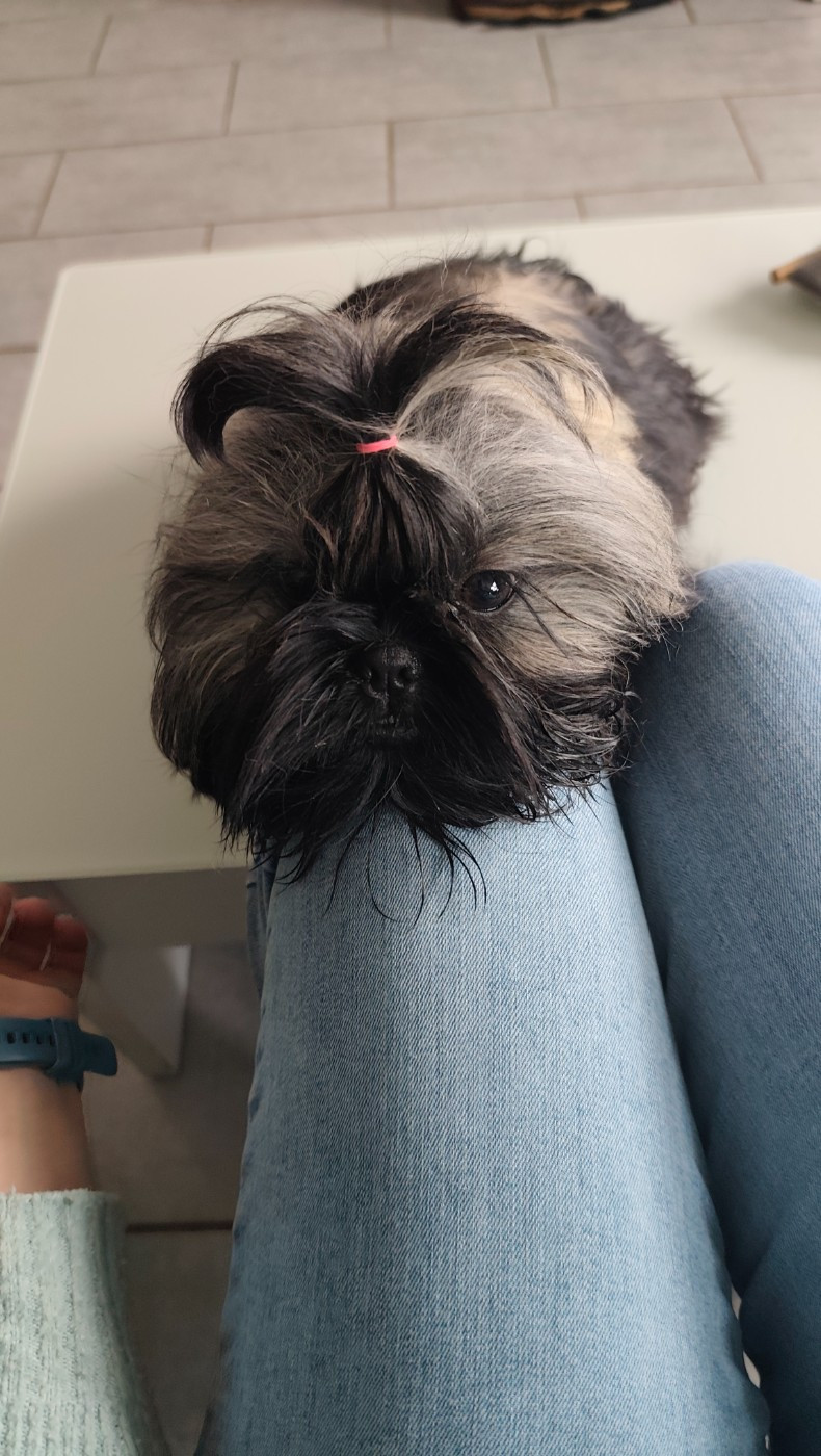 Altesse Des Amours D'Arelaune